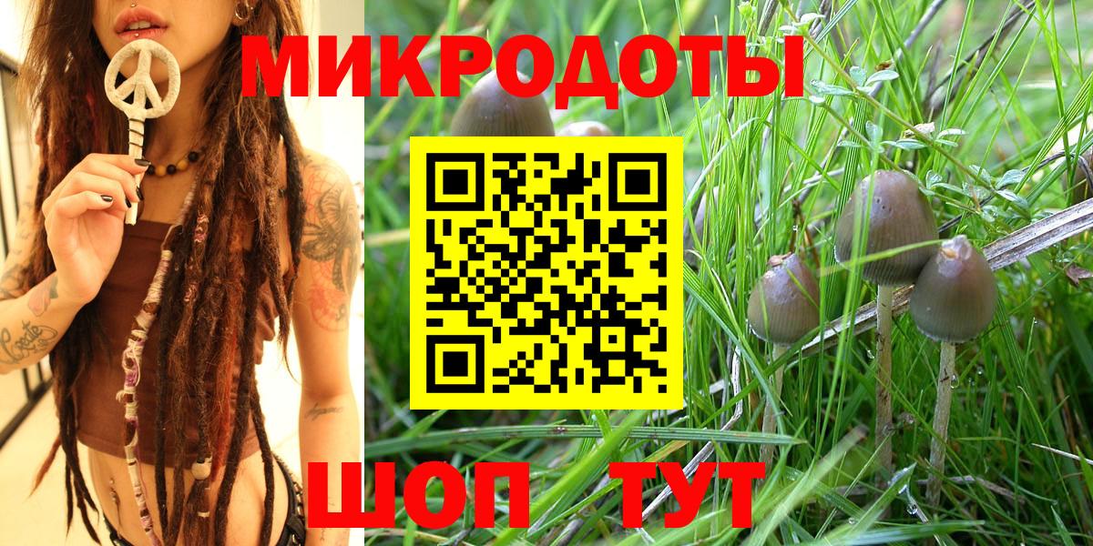 Галлюциногенные грибы мухоморы  Псилоцибиновые грибы мухоморы  Шадринск  Вход с VPN 